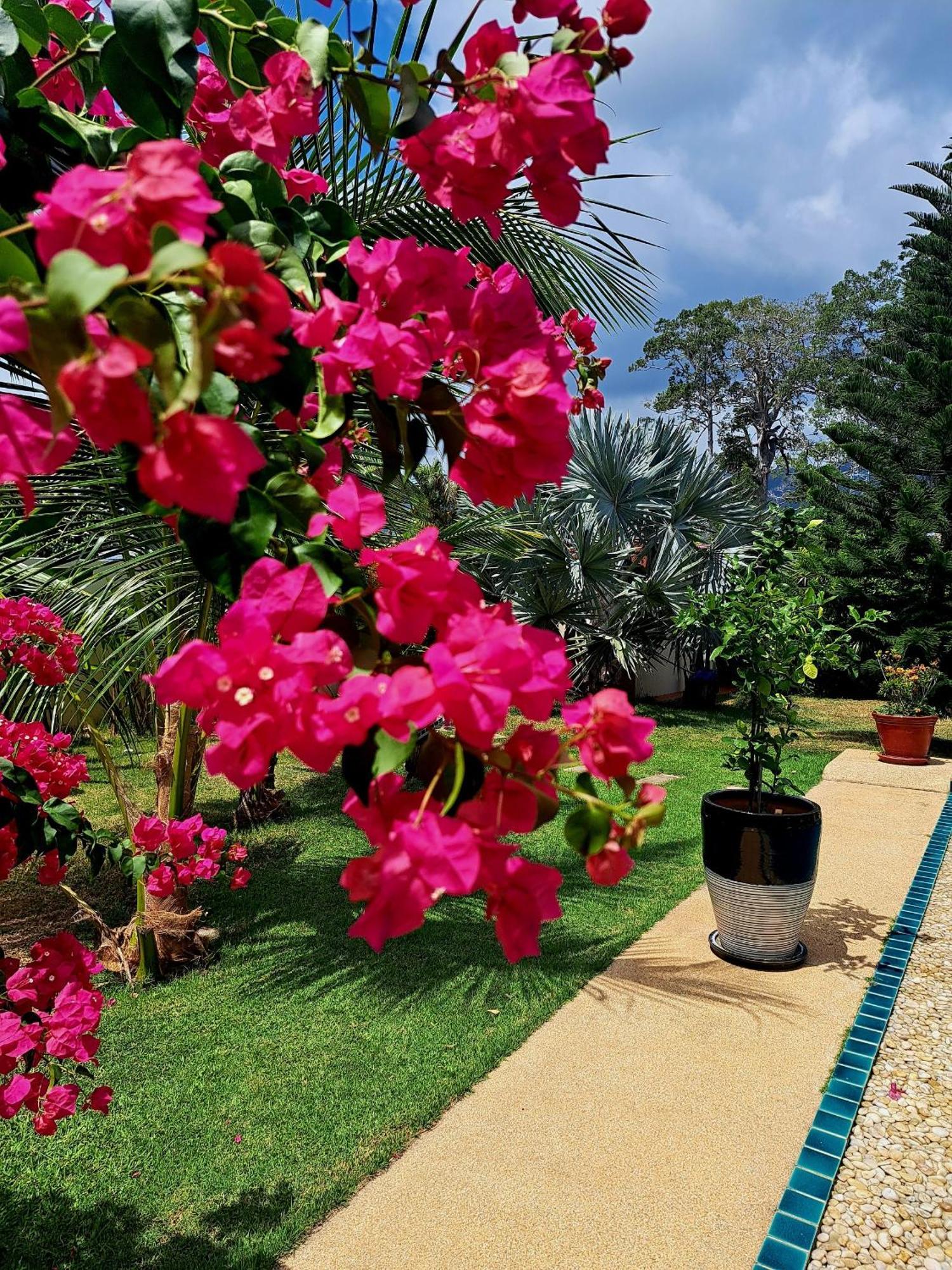 Laura Guest House-Adult Only- Hua Thanon  エクステリア 写真
