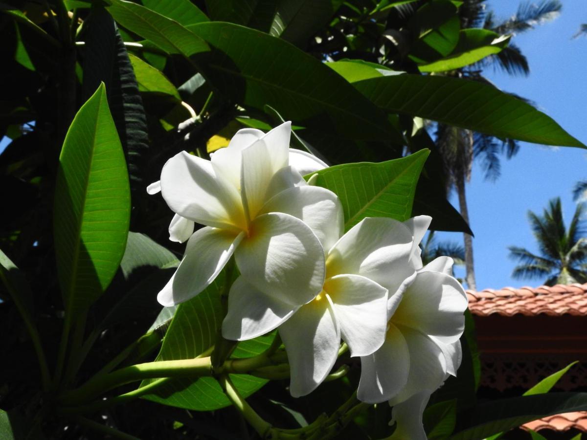 Laura Guest House-Adult Only- Hua Thanon  エクステリア 写真